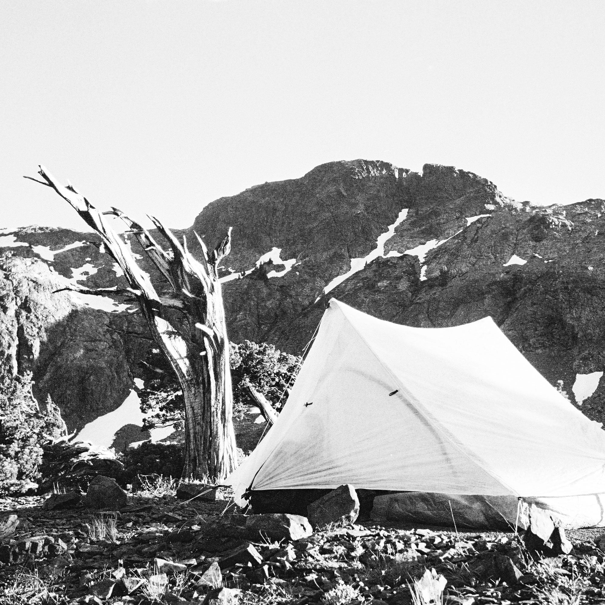 Rigging That Works: Carbon Spool, Reflective Cord, and the Tent Tool